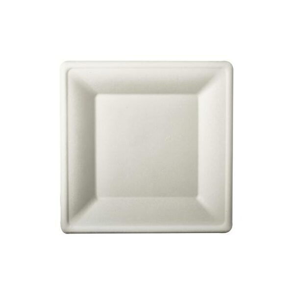 Talerz na wynos z trzciny cukrowej kwadrat 20x20 cm, biały